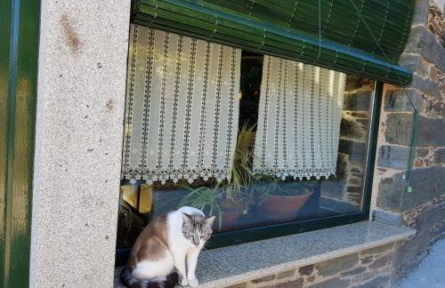 Casa do Estevo - Foto 12