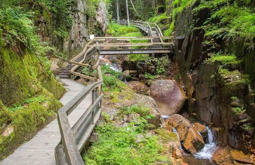 Rustic Escape - Foto 14