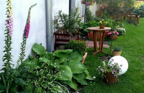 Guest House Wiejska Sielanka - Foto 14