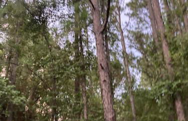 Sweet retreat in the springs NOT waterfront property - Foto 15