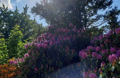 Dworek nad Potokiem - Photo 35