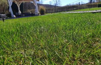 Ferienwohnung Zum Kühlen Grund - Foto 48