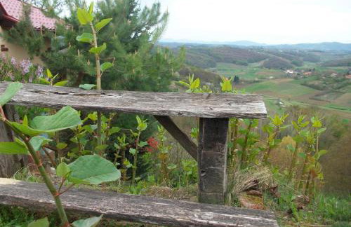 Kuća sa apartmanima Šemnica - za odmor i proslave! - Photo 48