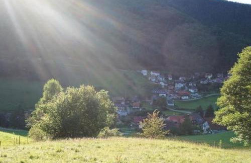 Apartment Ebser by Interhome - Foto 13