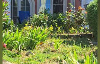 Villa Lilly 3 - Foto 13