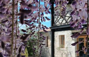 La Chapelle - Private Heated Pool, Village Centre - Foto 20