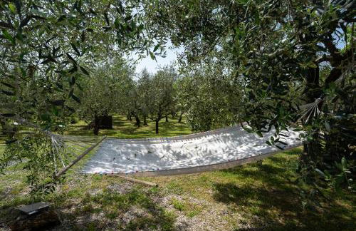 Le Cerbaie - Casa Vacanze - Foto 65