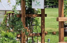 FeWo Familie Thoma - Foto 53