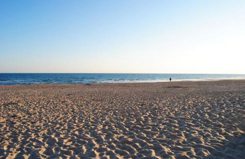 Coto de Sancti Petri - Foto 65