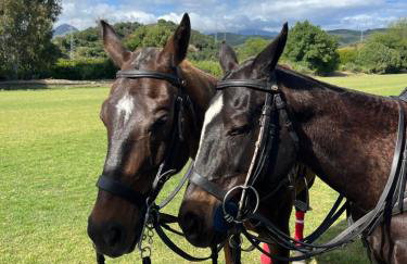 Sotogrande Polo Experience Luxury Villa - Foto 2