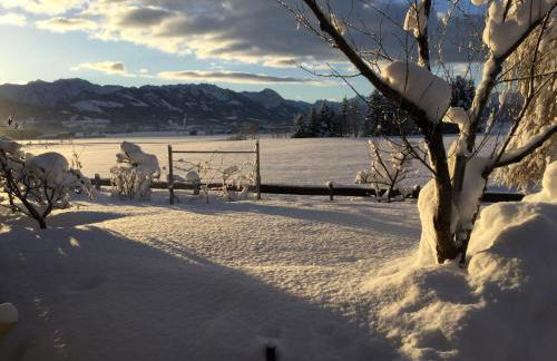 Ferienhaus Schönhensch - Photo 4