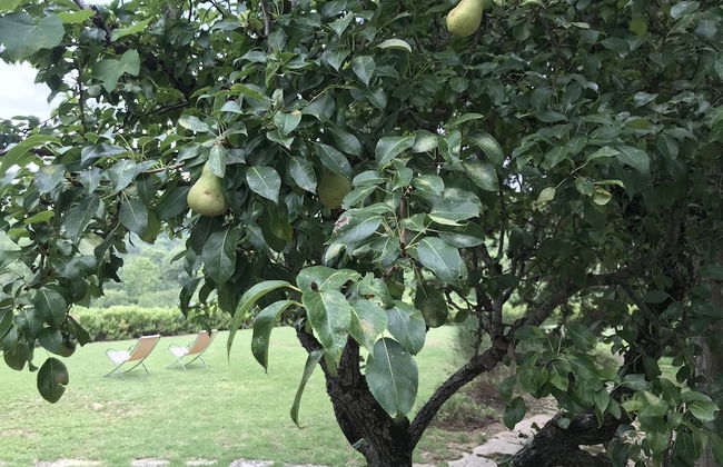 Foresteria Castello di Verrazzano - Photo 24