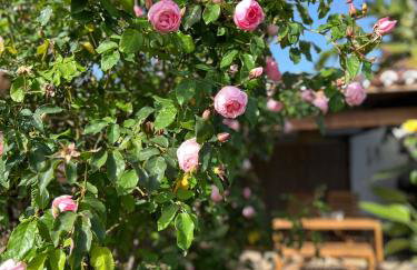 La Paredita Casa Guimar - Foto 11