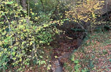 Altanka, Maison, calme au milieu de la nature près de Beauval, Chenonceau et autres chateaux de la Loire - Foto 42