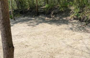 Cabin 1 Remote cabin next to Sam Houston National Forest - Foto 12