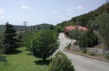 Nefeles Tou Nestou - Photo 7