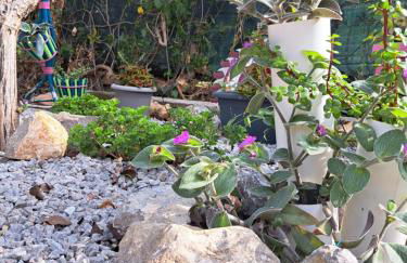 Anastasia's House - Foto 62