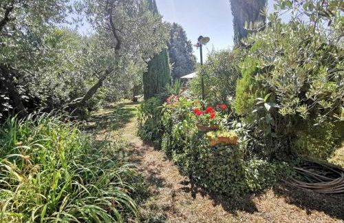 La casa dei nonni - Foto 30