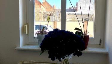 Studio Versteck am Hug - Foto 5