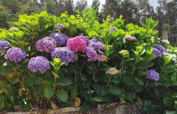 Quinta da Costeira - Foto 10