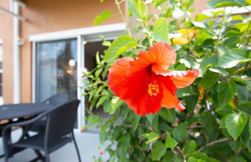 Berkley Lake Townhomes - Foto 41