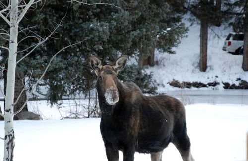 Picturesque Cottage for a Riverside Retreat near Big Sky, Montana - Foto 25