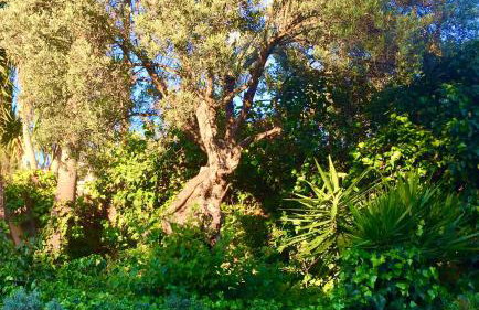 Villa Tramuntana - Foto 15