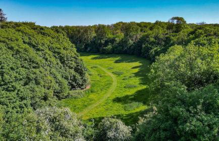 Luxury 2 Bed Woodland Cottage on Rewilding Estate - Foto 21