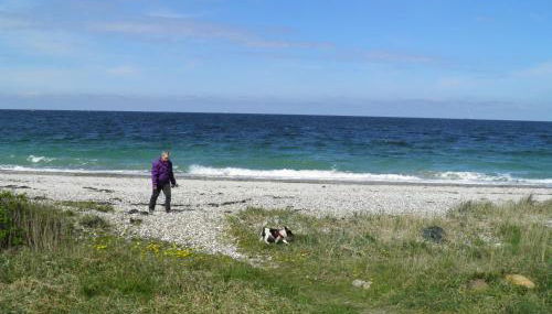 Appartement Kanew - Foto 4