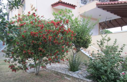 Villa Porto Matzavino - Foto 9