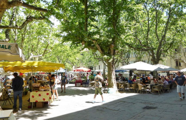 Country House in Lussan Near Pont du Gard - Foto 17