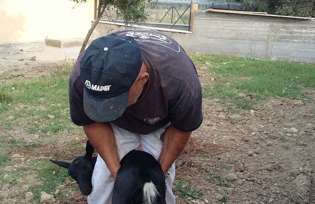 Agriturismo Fieri - Photo 23