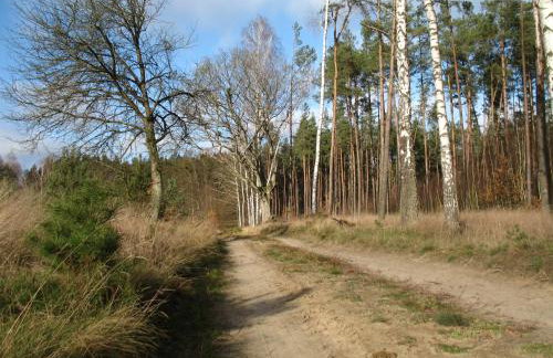 W Pelniku - Photo 62