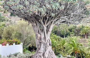 Villa's Homes in Playa Arena - Foto 50