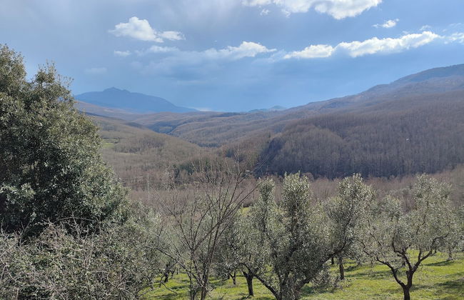 Agriturismo Li Guira - Foto 64