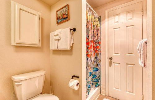 Sanderling - Foto 23