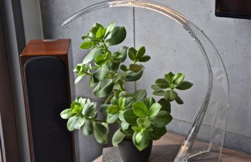 Młyńska 8 Apartament z prywatnym basenem - Foto 3