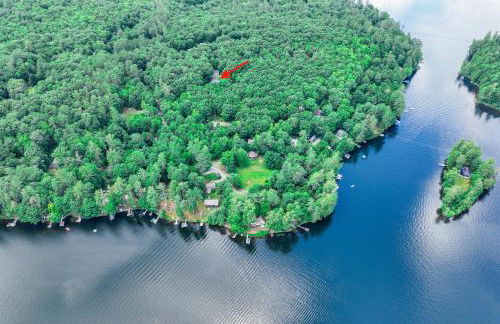 Falling Pines - Foto 12