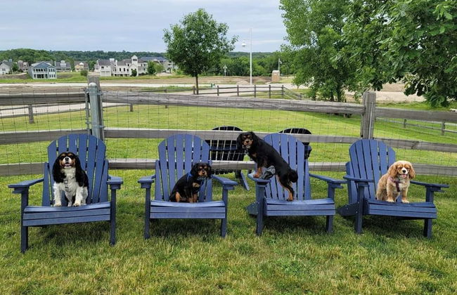 Bow-wow on The River #5 - Foto 21