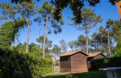 R3 - Miravillas - Rosas 33 - Foto 15