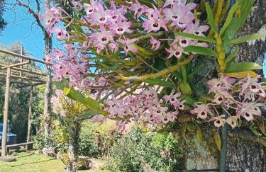 CHALÉ SIMPLES COM WI-FI SPLIT COZINHA COMPLETA SALA QUARTO BANHEIRO A 2 KM DO centro - Foto 9