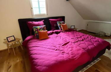 Noah - Seeleben auf Zeit am Rursee - Foto 37