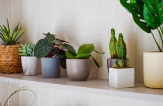 The Invergarry - Royal Deeside Luxury 5 star Couples Retreat with Hot Tub, Aboyne - Foto 66