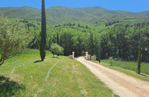 Domaine de Battarel, 4 hectares en Luberon - Foto 31