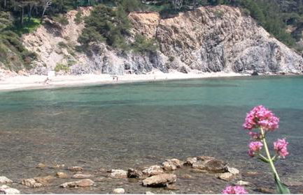 Appartement T3 avec grand balcon - Foto 10