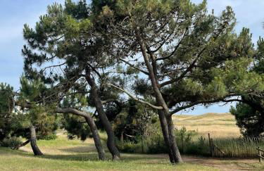 La Maison de la Plage - Photo 20