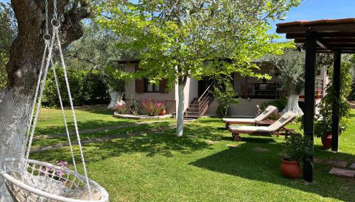 Les Olives Woodhouse - Foto 5