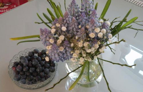 Apartment Vier Jahreszeiten Pilsum - Foto 13