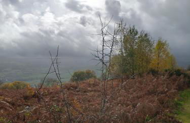 The Studio, Upper House Farm, Crickhowell. - Photo 51