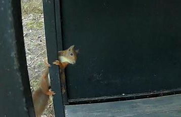 Bus atypique au bord du canal du midi et au cœur d'une forêt 2 chambres - Foto 7